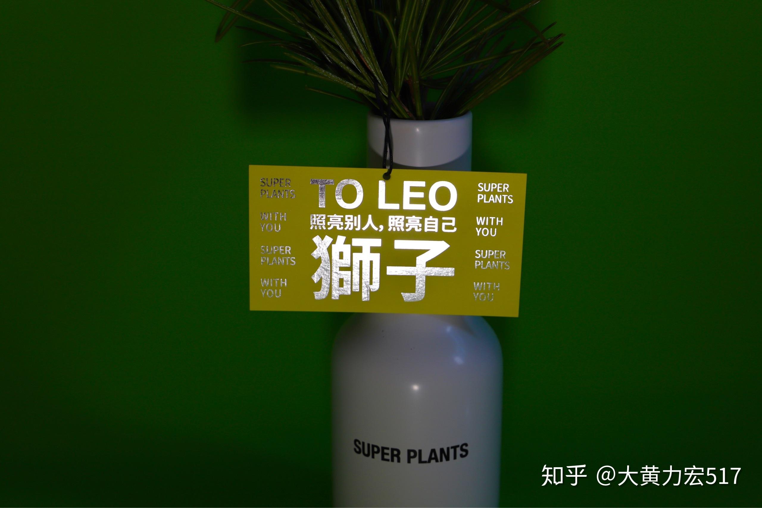 超级植物公司放青松 - 知乎