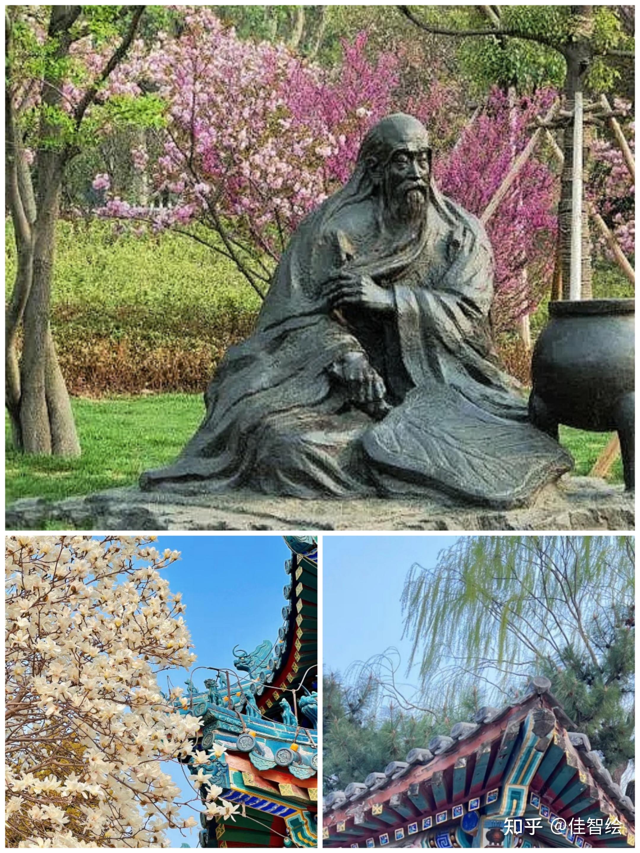 【赵金光将军诗词】借光便是大文章 - 知乎