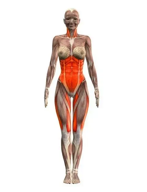 1  sama的意思是垂直不动的,sthiti就是站立不动梵文解释:梵文:sama