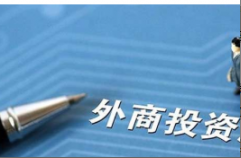 2022-2028年中国辣椒素行业发展态势与投资可行性报告