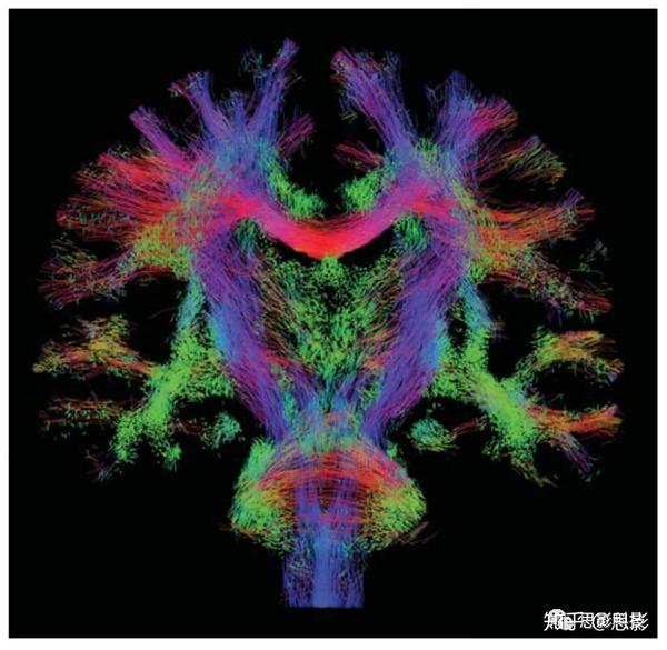 2,基於多種模型的纖維追蹤方法 1)約束球形解卷積(csd) 約束