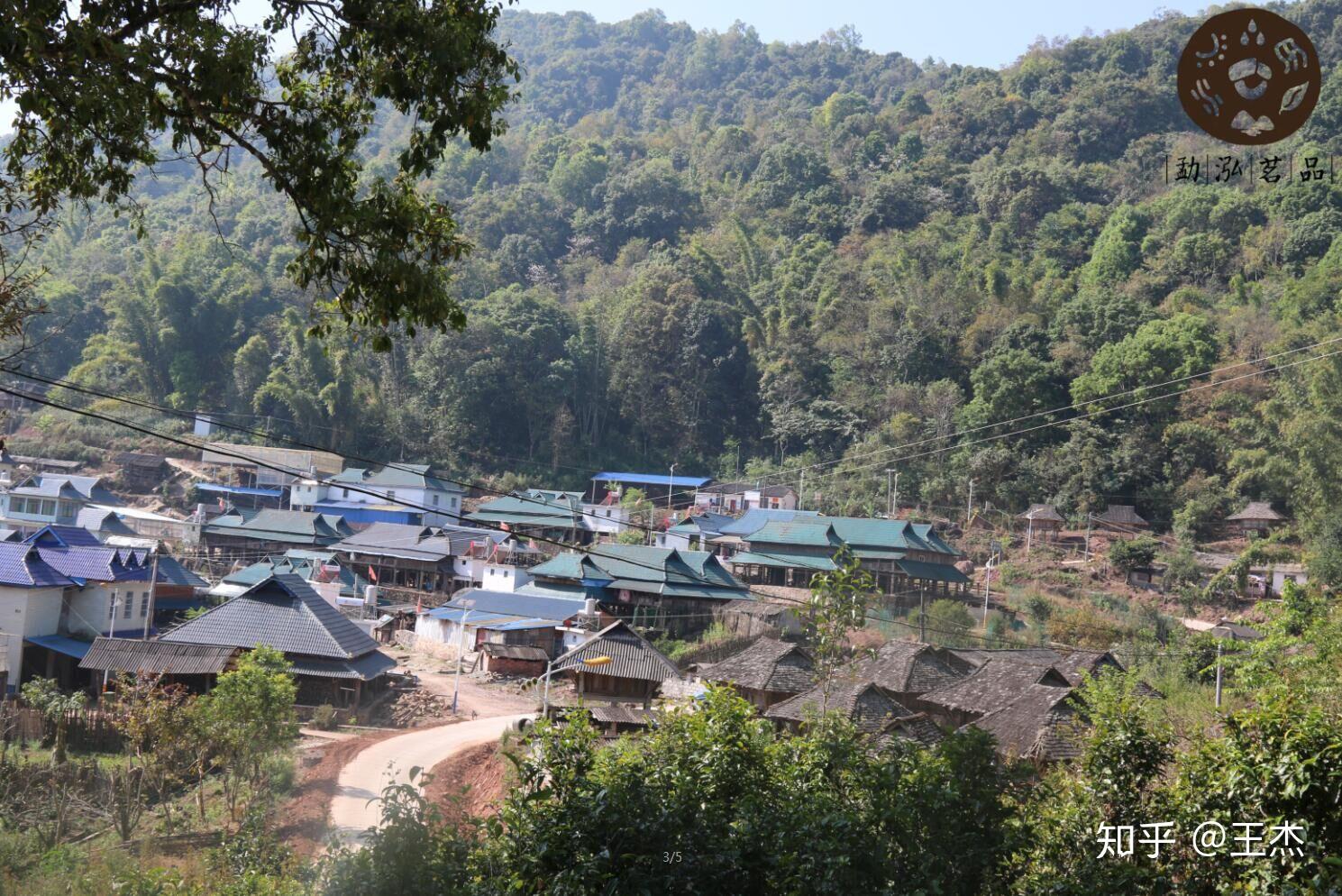 纳寨茶庄的阿妹带您走进昔归村寨普洱茶忙麓山