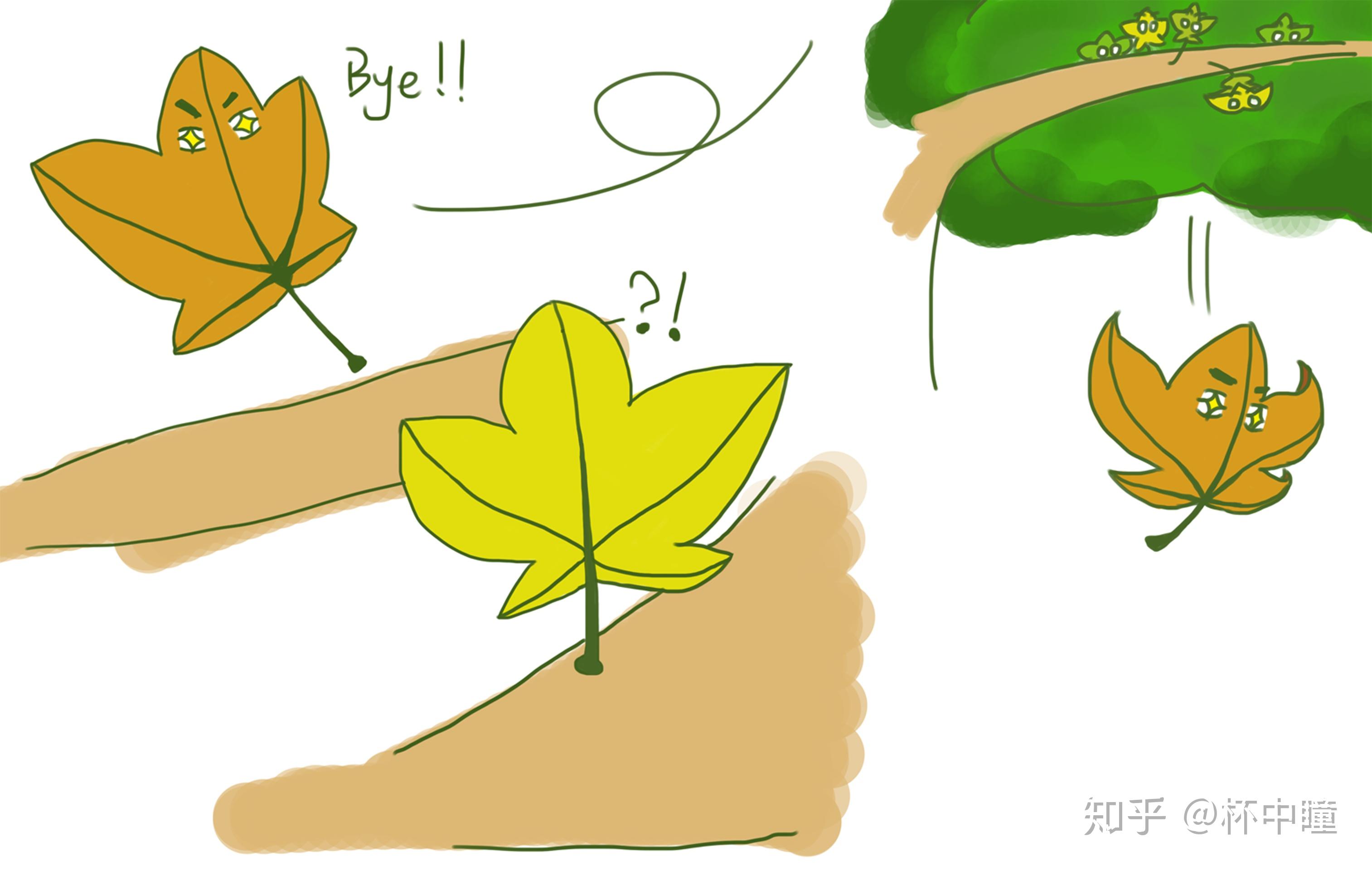 毕设动画《leave》创作过程分享 - 知乎