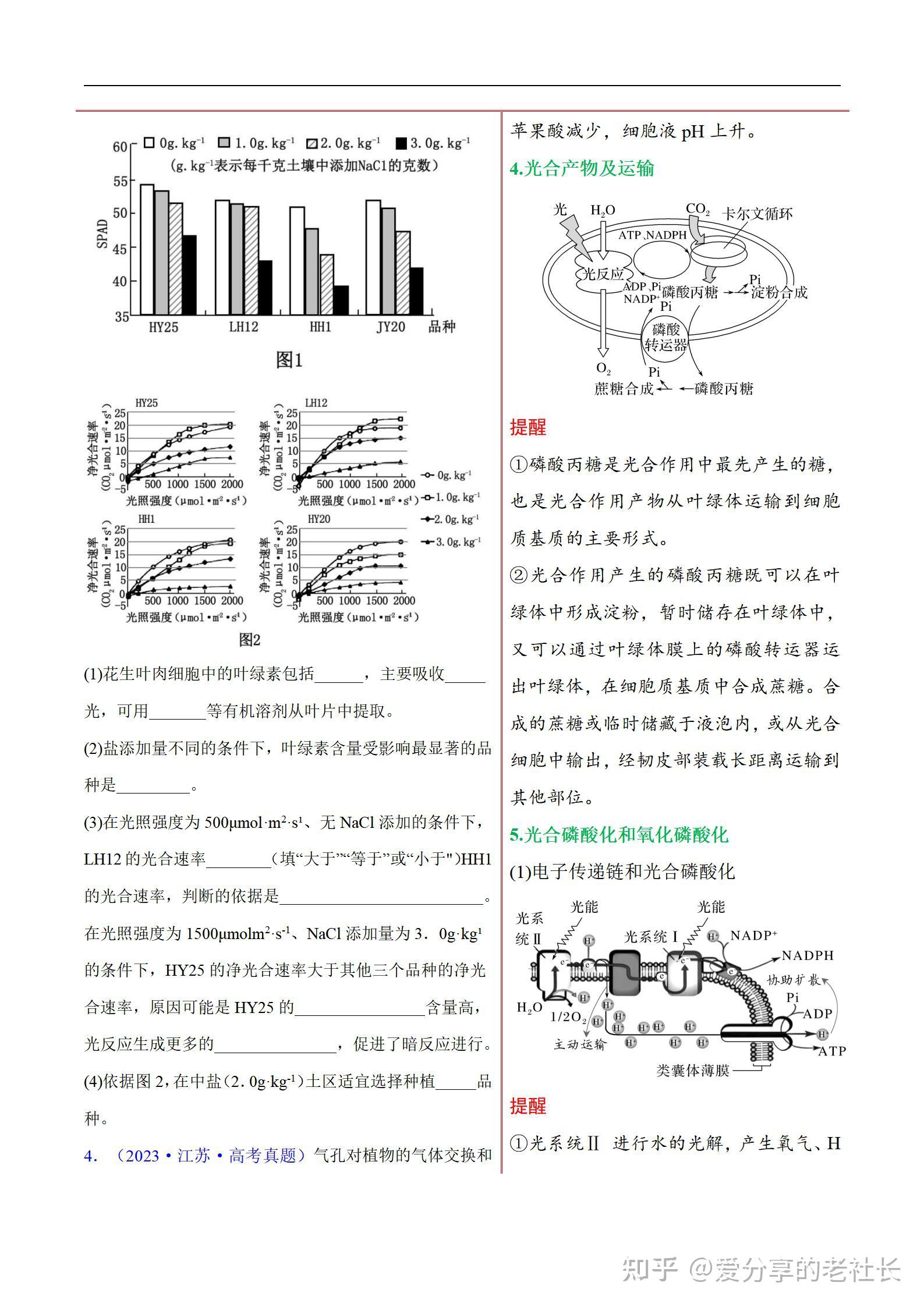 卡尔文文章图片