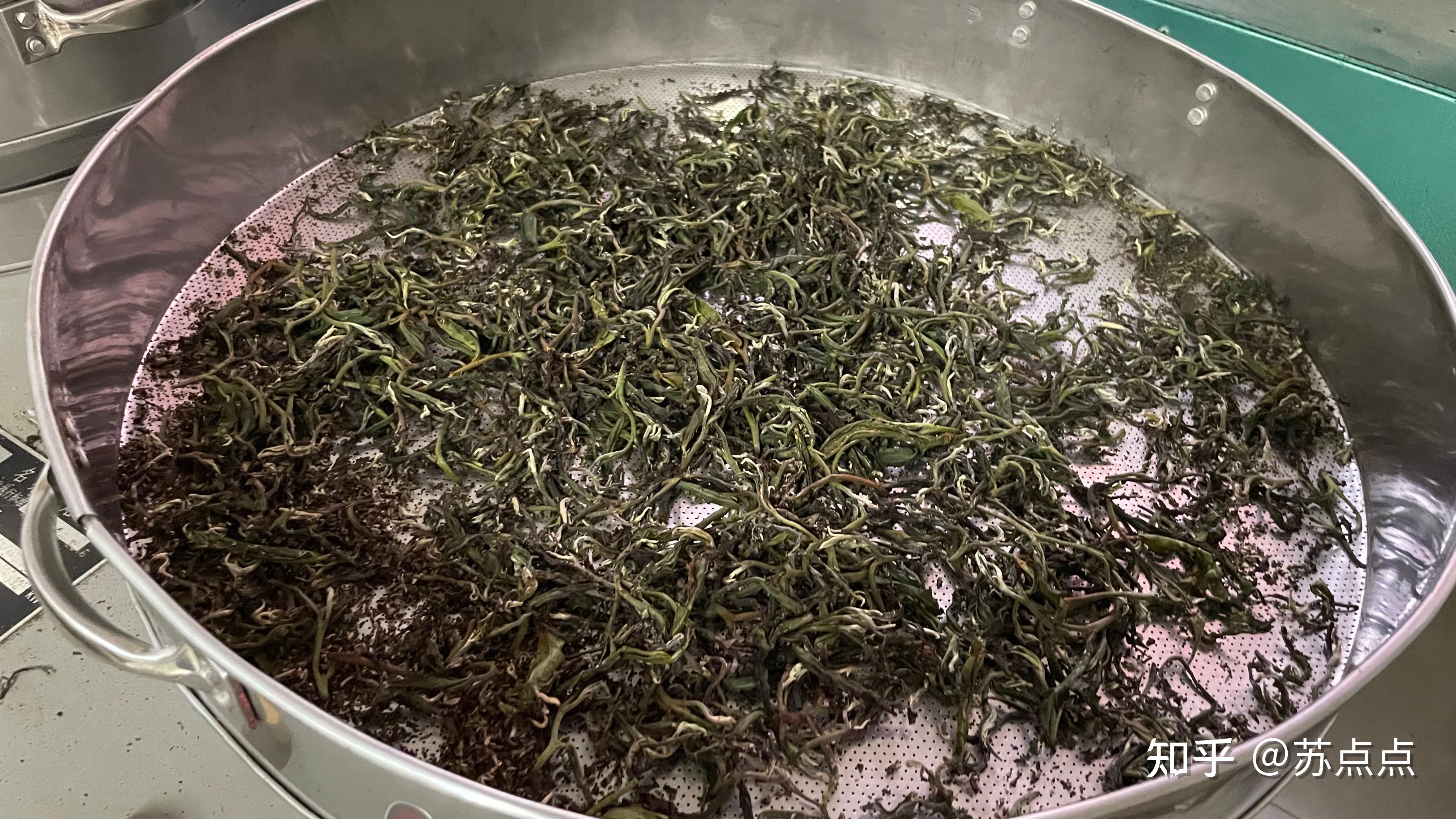 乌龙茶初制工艺原理 - 知乎