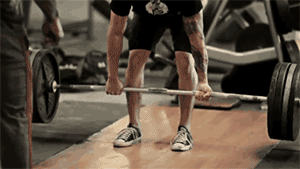 v2-a143e697dea005f05631316ded8f2d49_b.gif
