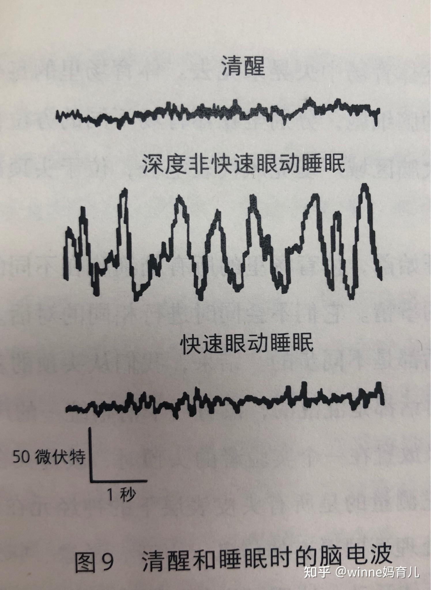 关于睡眠的秘密让我们看看这本书