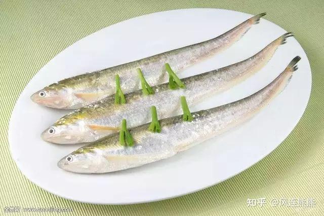 刀鱼(320) - 知乎