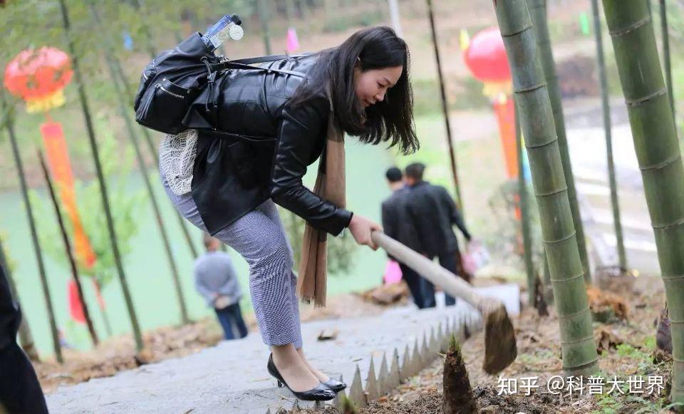 冬天的竹笋为什么长不成竹子?并非只是因为天气冷 - 知乎