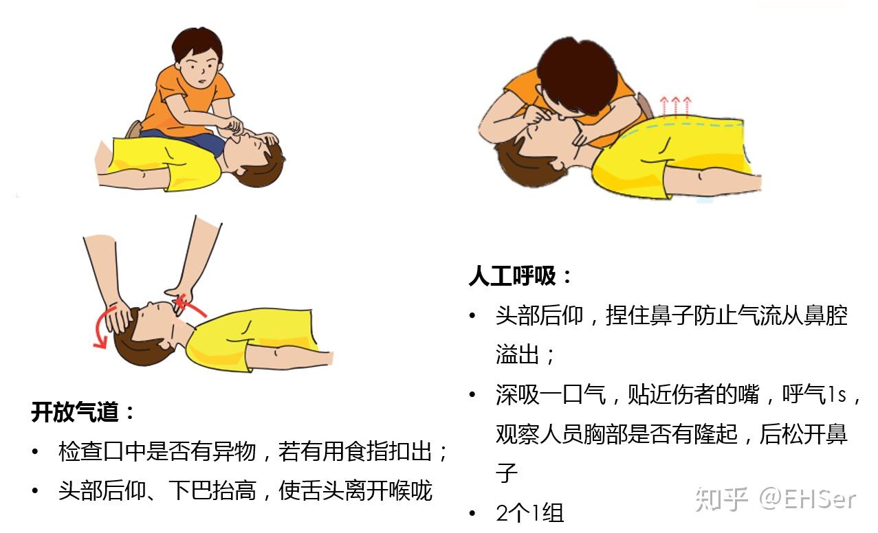 工作中,当人员触电,中毒,窒息或其他疾病发生时,极易导致心脏呼吸骤停