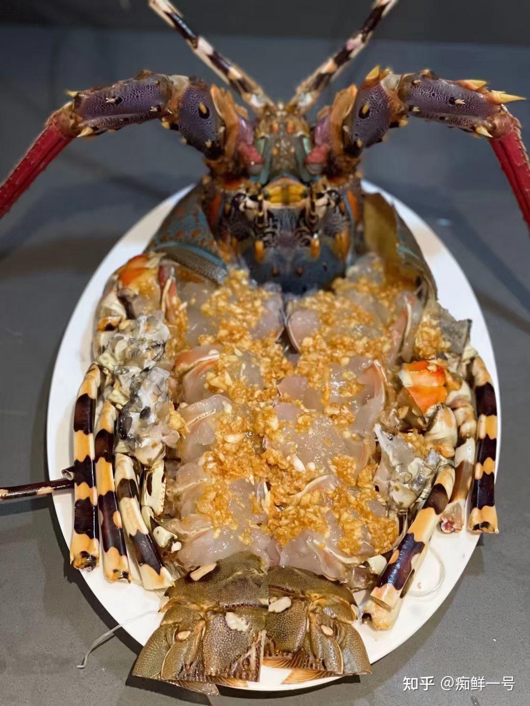 蒜蓉粉丝蒸大花龙虾做法分享东山岛海鲜