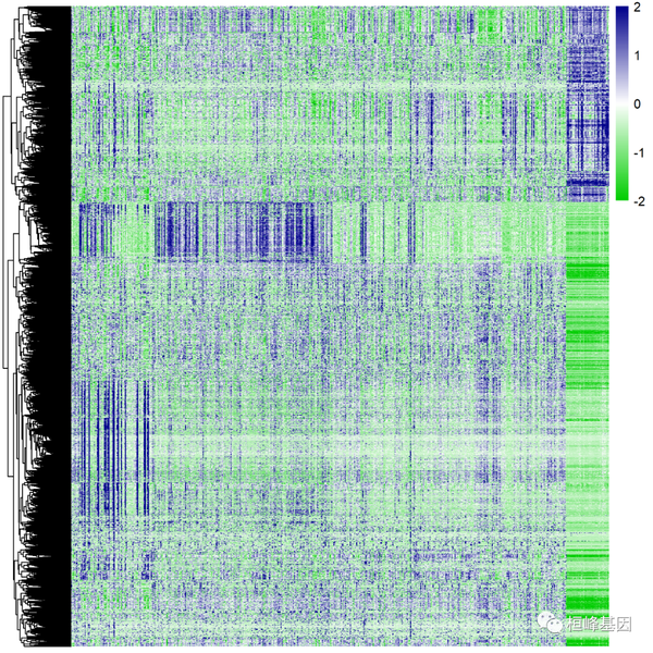 Rna 8 Sci文章中差异基因表达 热图 Heatmap 知乎