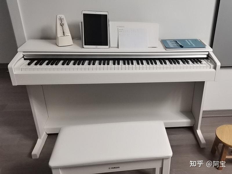 入门立式爆款电钢—雅马哈ydp144