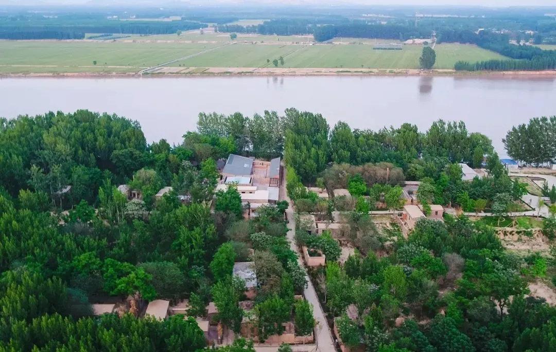 黄河岸边废弃村落的重生姜庄村改造