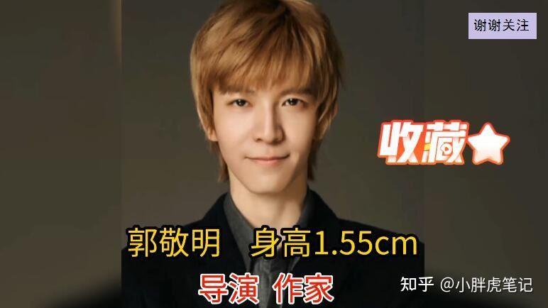 盘点17位矮个子演员,身高不够身材来凑,矮个子女星个个貌美如花 - 知乎