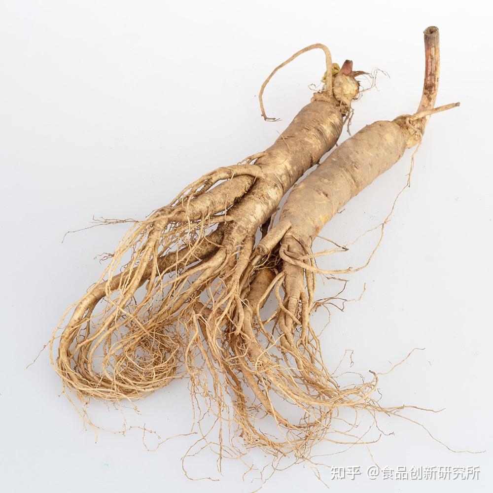 “参”入解读 | 当人参遇上发酵！ - 知乎