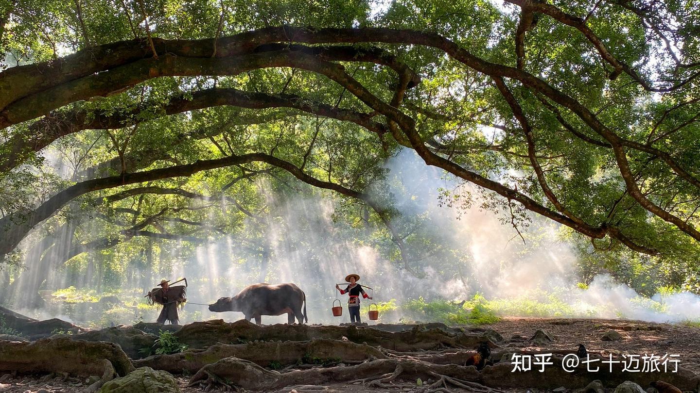 福建霞浦,国内最有油画感的地方之一(附保姆级旅游攻略) - 知乎