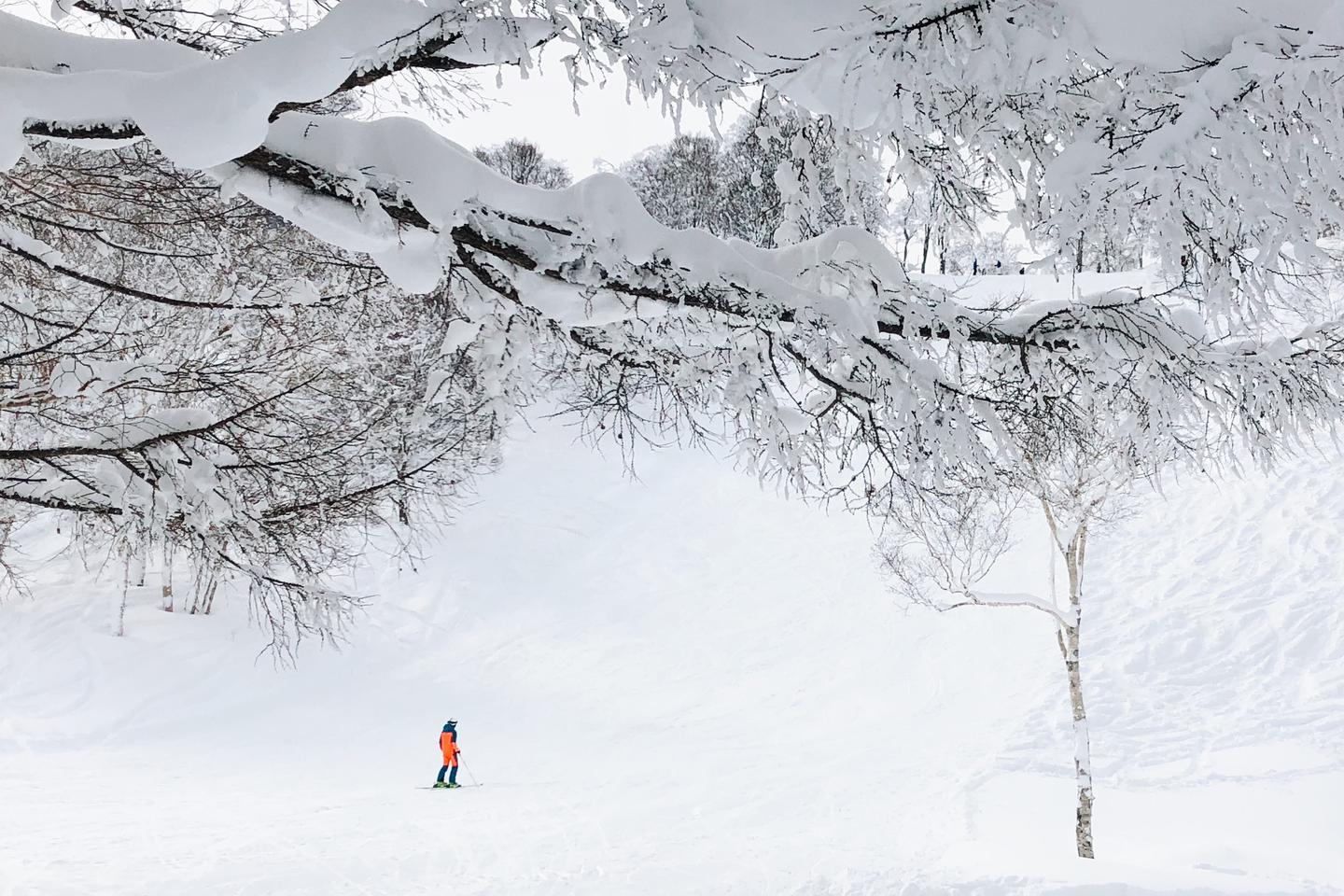 温泉粉雪与简单生活 长野野泽温泉 知乎