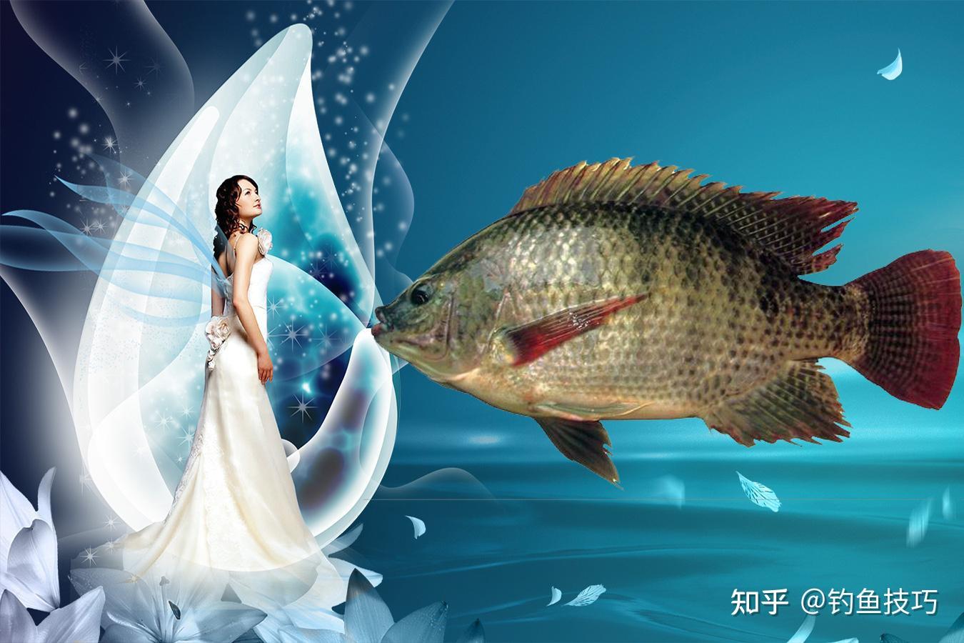 v2-a188c1b7ef7af83d536e66310c565b65_r.jpg