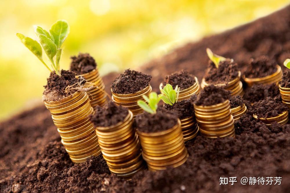 要钱还是要命?其中有《金钱的秘密》 - 知乎