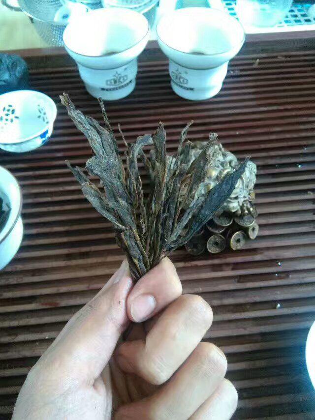 一节一节像木棍的茶图片