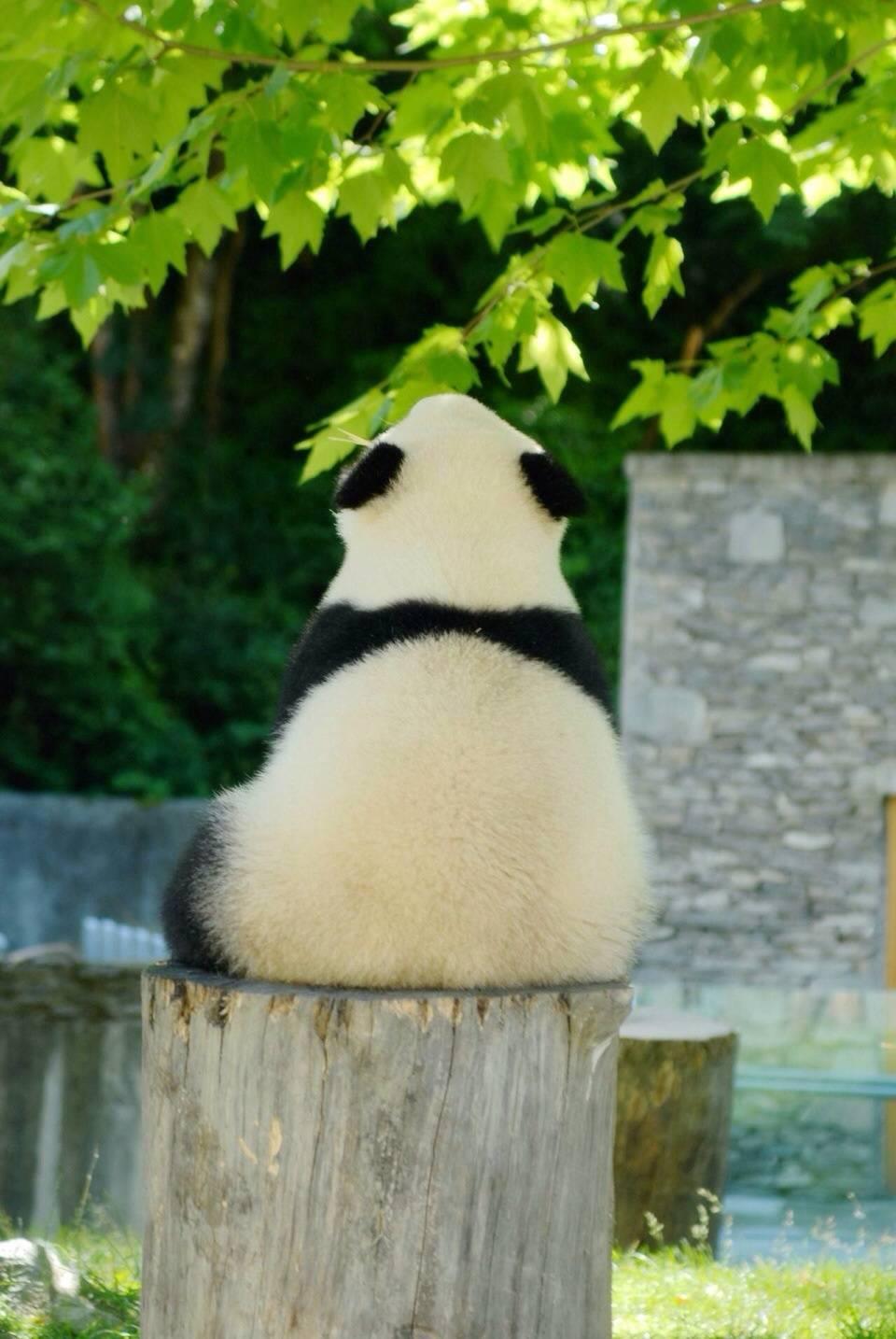 你最喜欢的背影照片是哪张?