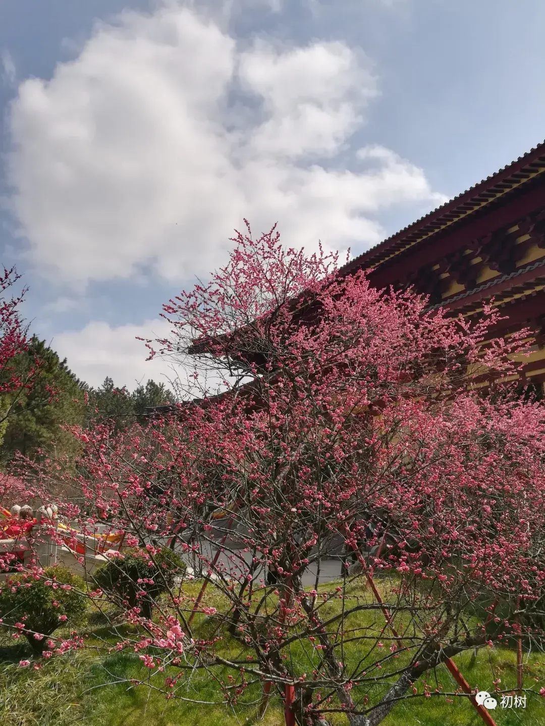 南泉斩猫有几个意思？烧脑中】 - 知乎