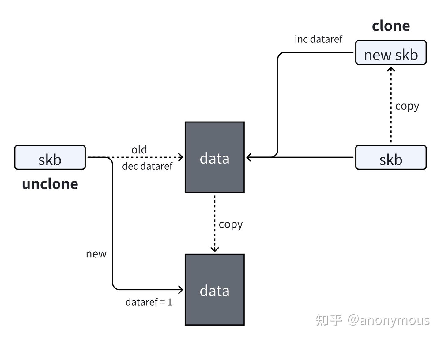 TCP 传输时 sk_buff 的 clone 和 unclone 知乎