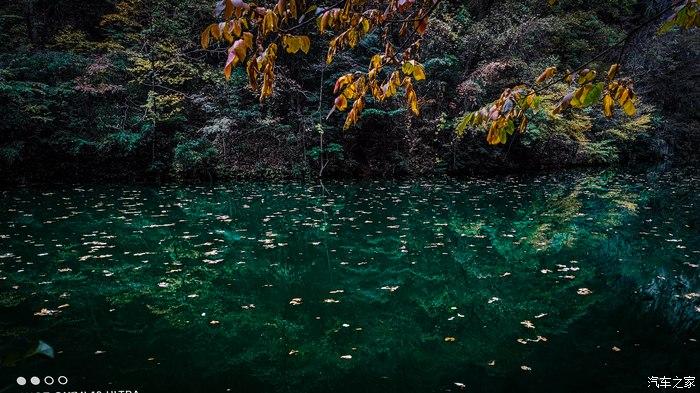 一人一唐,自驾洛南金丝峡,瞰五彩斑斓深秋神瀑峡沟