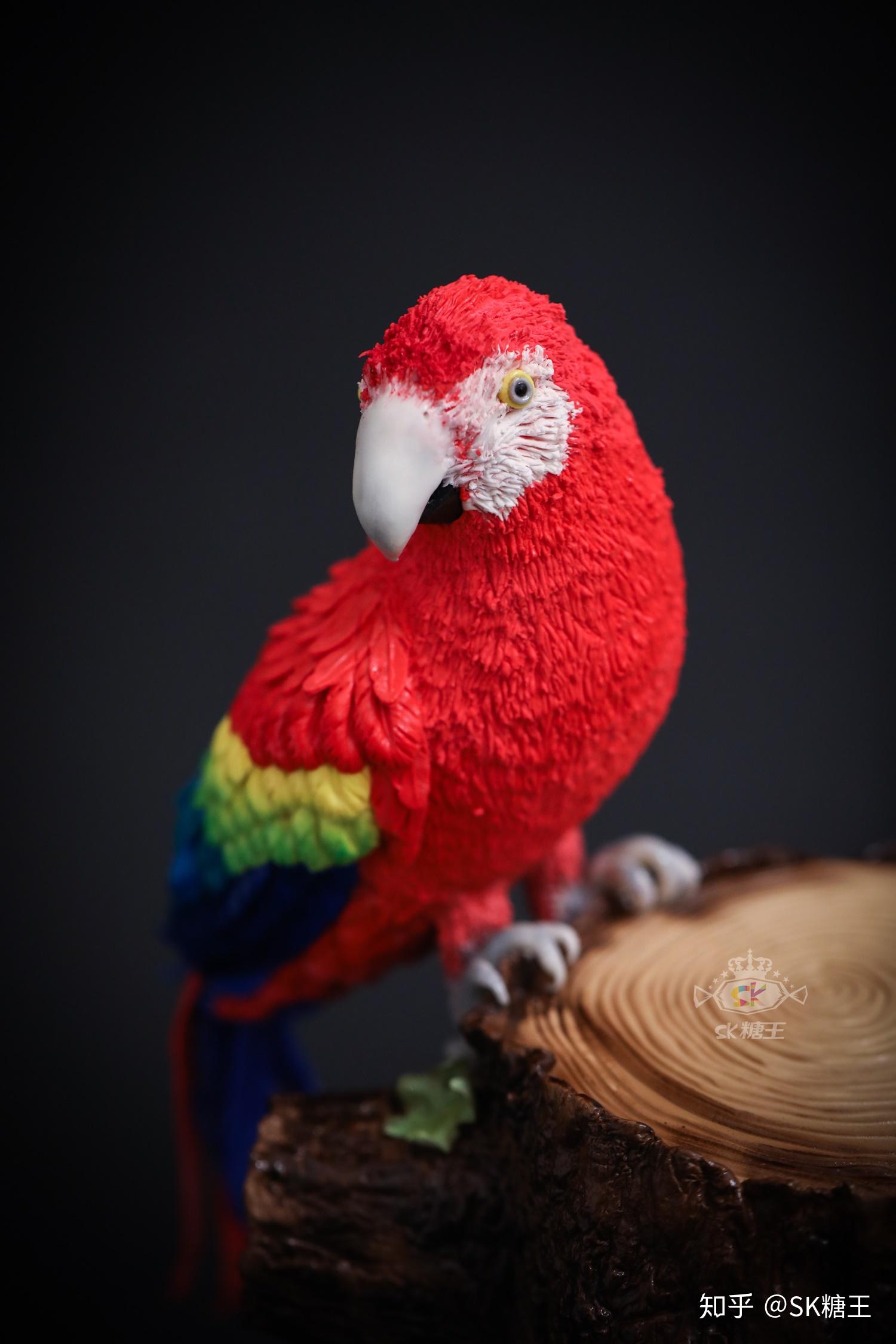 sk糖王0基础学员作品五彩鹦鹉
