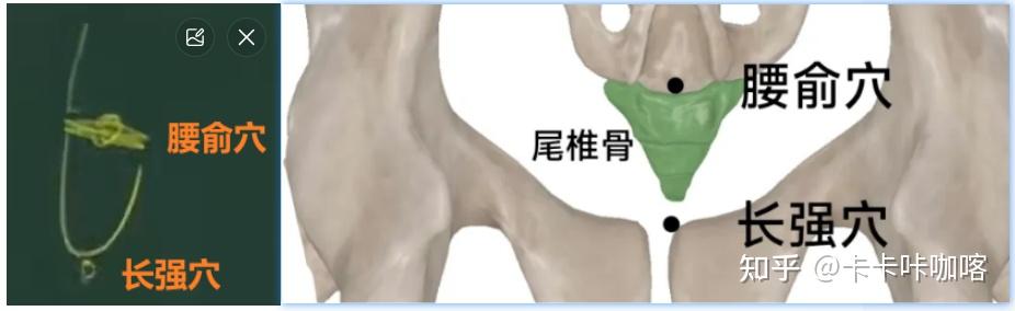 【中医学习】针灸大成5 - 督脉经穴 - 知乎