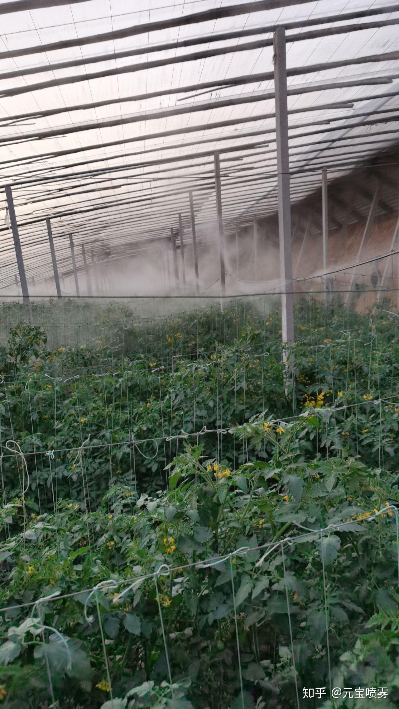 大棚自动打药机