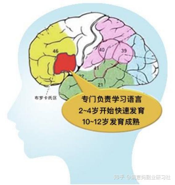 寻找英语启蒙教育的黄金钥匙