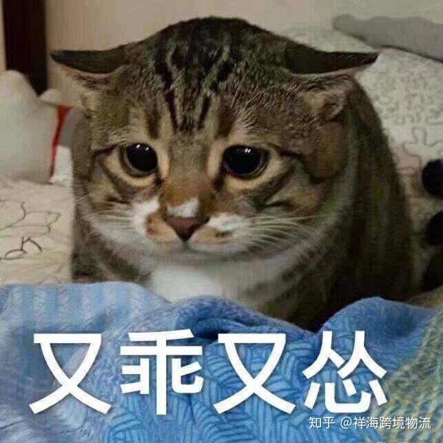 v2-a1f6c594c9a31c8eb178bf43492f3dd1_r.jpg