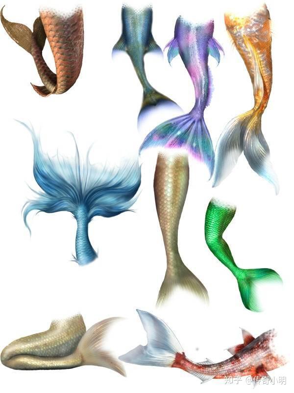 v2-a1f9cf0d805323f5dd467ffdd712c611_r.jpg