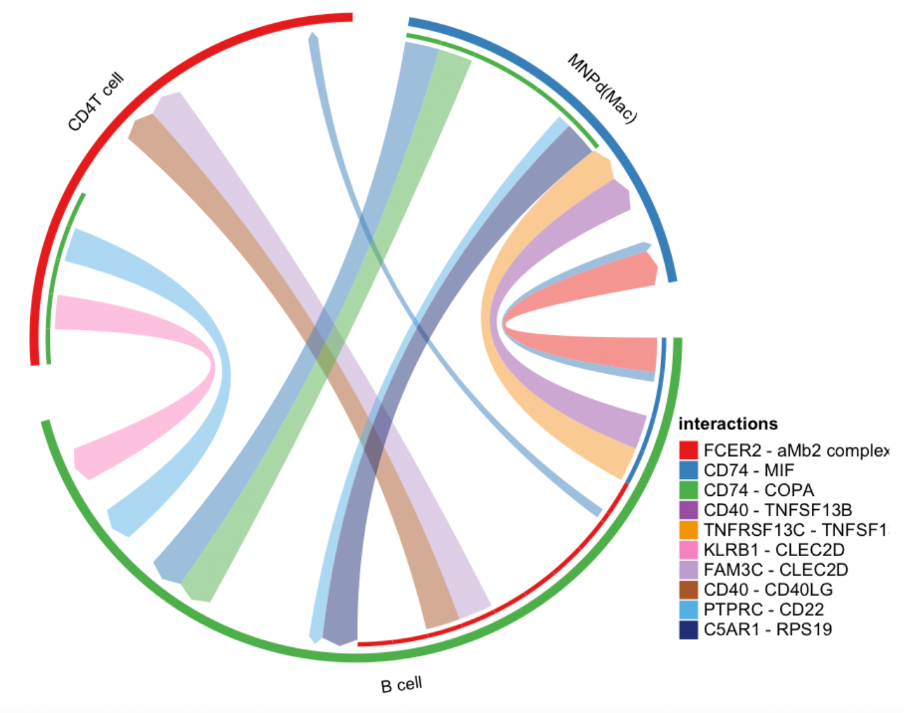  ktplot cellphonedb 