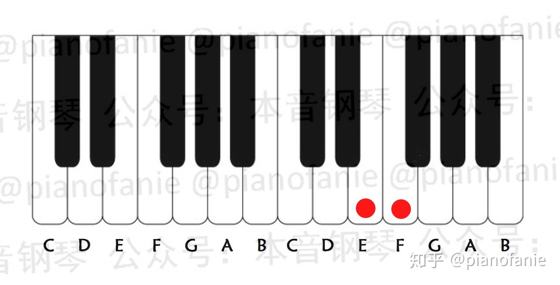 乐理半音与全音是什么