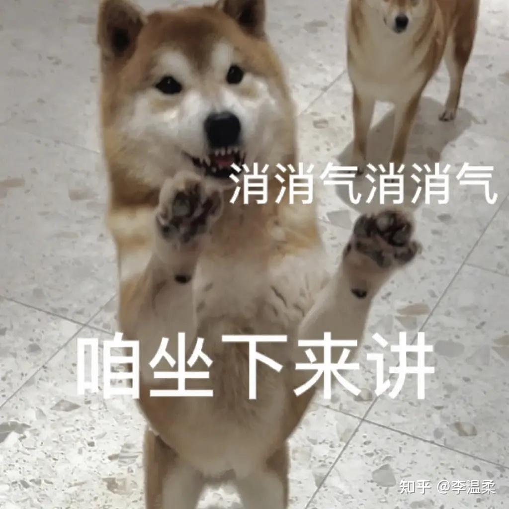 舍不得删的傻狗表情包 - 知乎