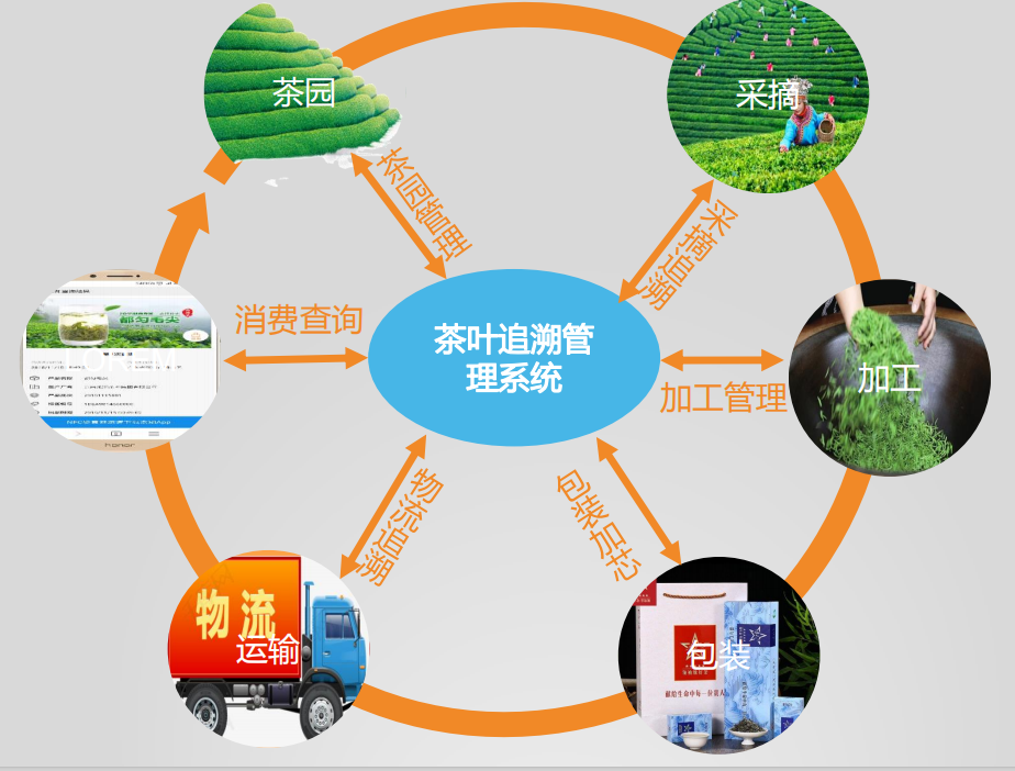 1秒鉴真区块链技术是否真的能为茶叶提供防伪溯源