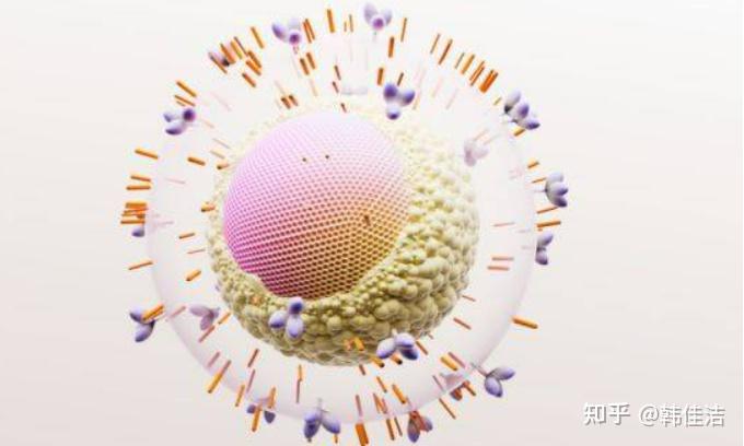 GSK单片双药HIV治疗药物多伟托中国首张医保处方落地 - 知乎