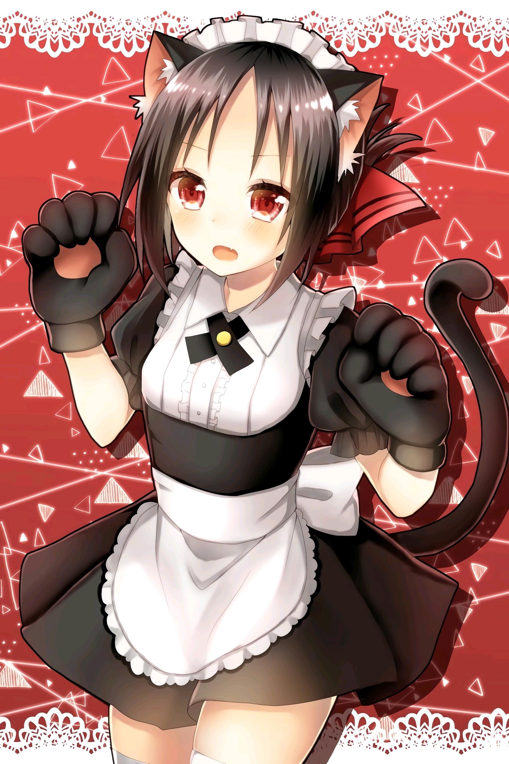 「动漫2k」第九期   22娘:33～!你说会有小可爱进来吗?33娘:肯定有的!