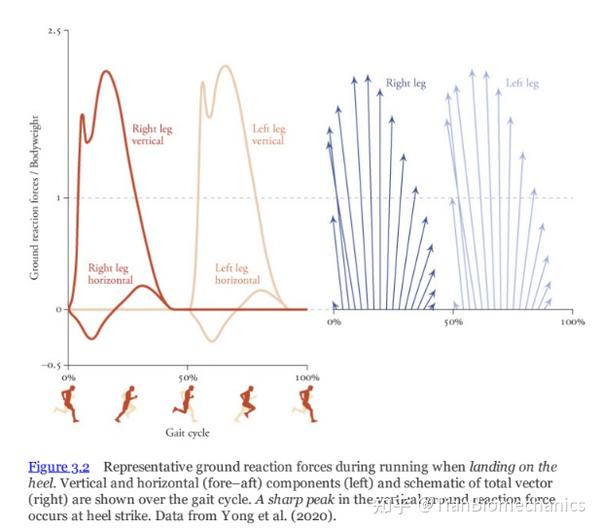 Movement Run 生物力学书籍-《Biomechanics of Movement》-Running - 知乎