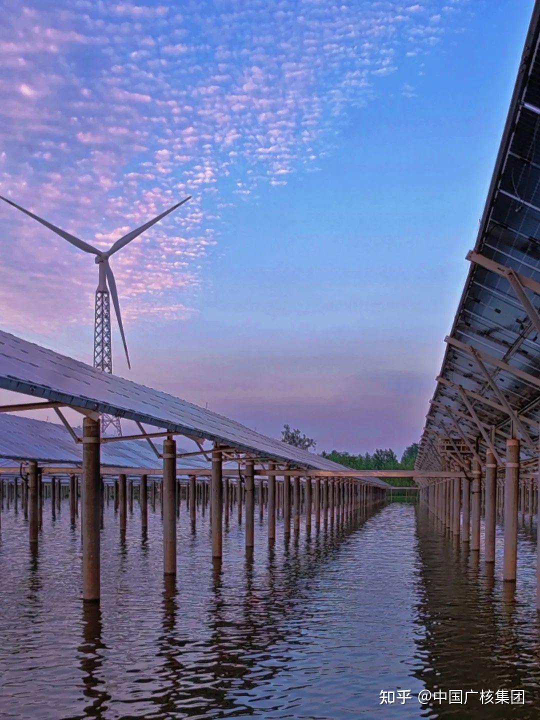 什么是"渔光互补"电站? - 知乎