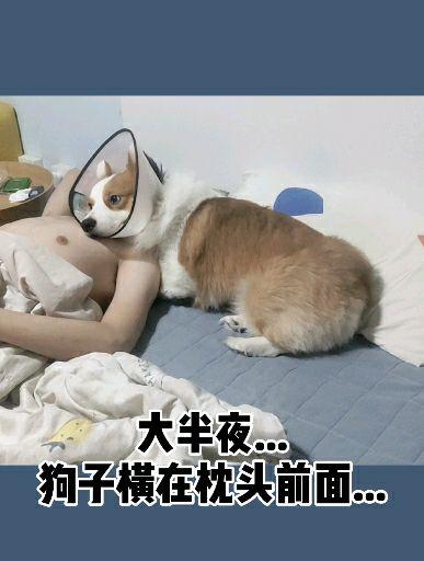 v2-a22c7789c04a34963614788bfe5a811b.jpg?source=1940ef5c