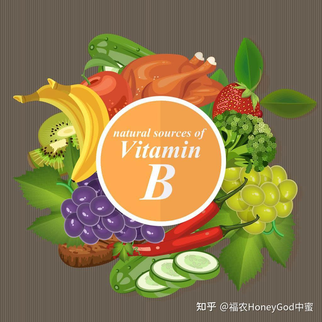 关于维生素B族(维生素B1/2/6/12、烟酸、叶酸、泛酸、生物素)需要了解的! - 知乎