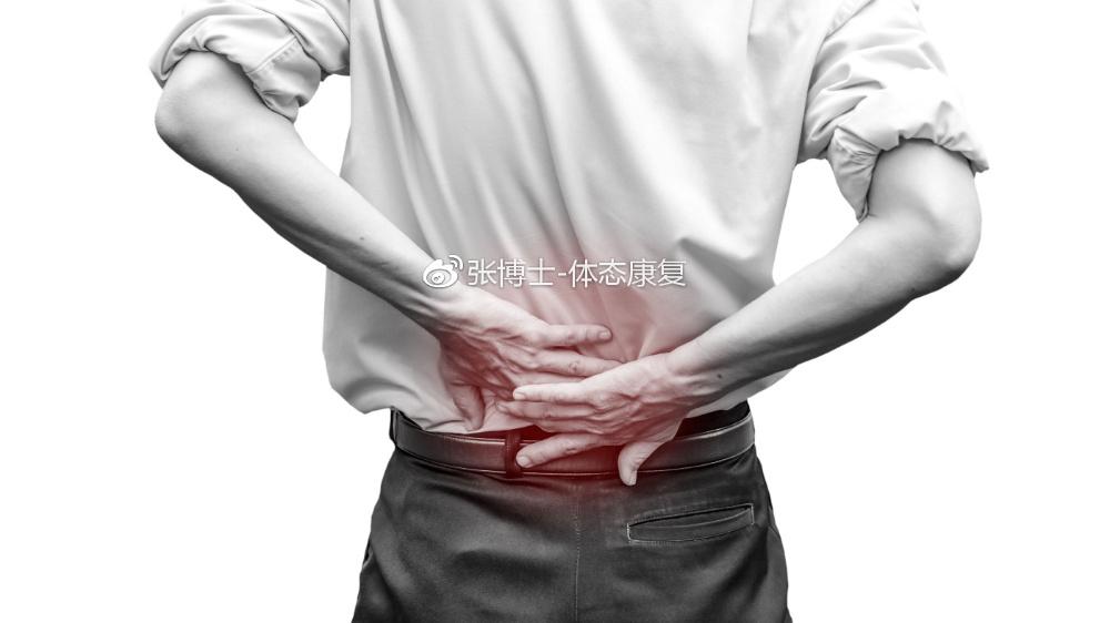 下背痛综述 关于下背痛的简介与一般性康复方法 知乎