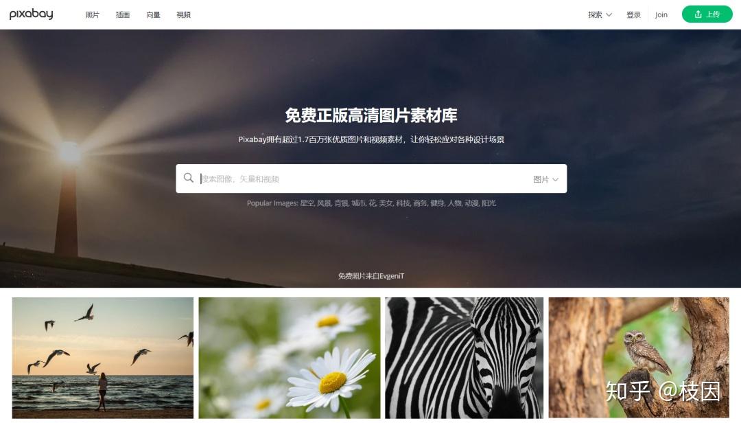 免费看拜仁慕尼黑VS葡萄牙体育无插件直播