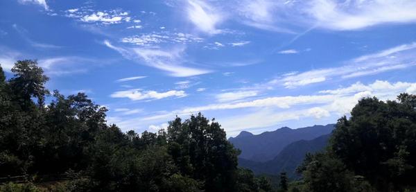 山不在高,有山珍则名.安徽岳西大歇不为人知的事儿(三)