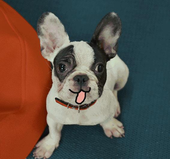 有许多方法可以帮助你提升自己的情绪表达能力(beck, 2015; heitler