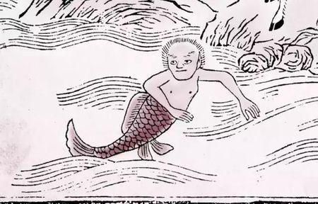 水形物语 乱炖人鱼 知乎